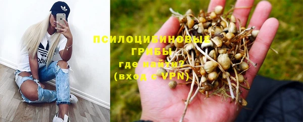 мдпв Данков