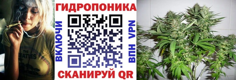 мега зеркало  Льгов  даркнет клад  МАРИХУАНА SATIVA & INDICA 